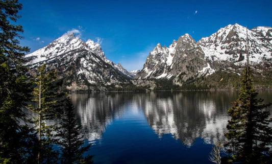 Mountain Warrior Gift Card